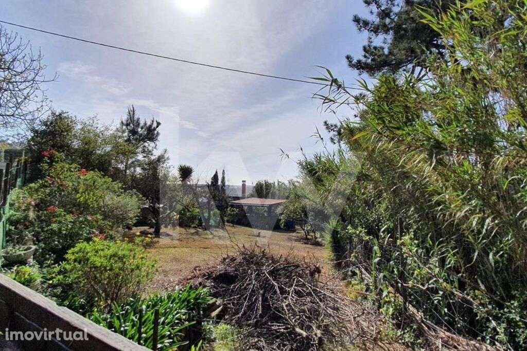 Terreno de 740m2 com Projeto Aprovado para Moradia T4 com piscina em M - Grande imagem: 3/13