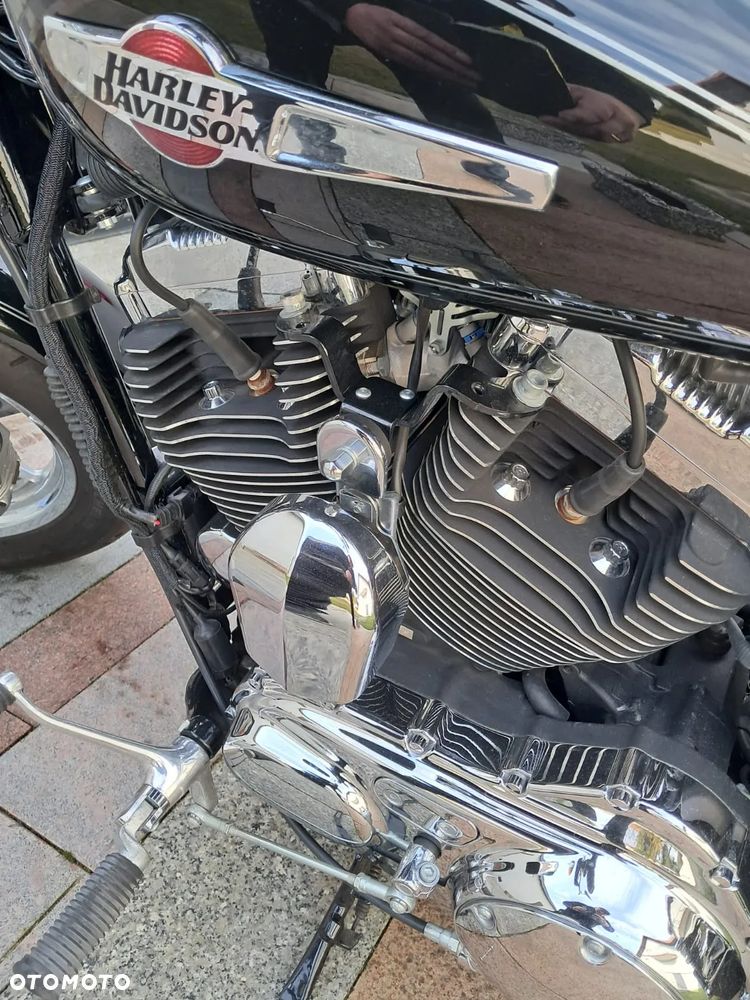 Harley-Davidson Sportster Custom 1200C - 15