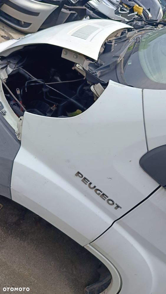 BŁOTNIK LEWY PRZÓD PRZEDNI DUCATO III BOXER JUMPER - 1