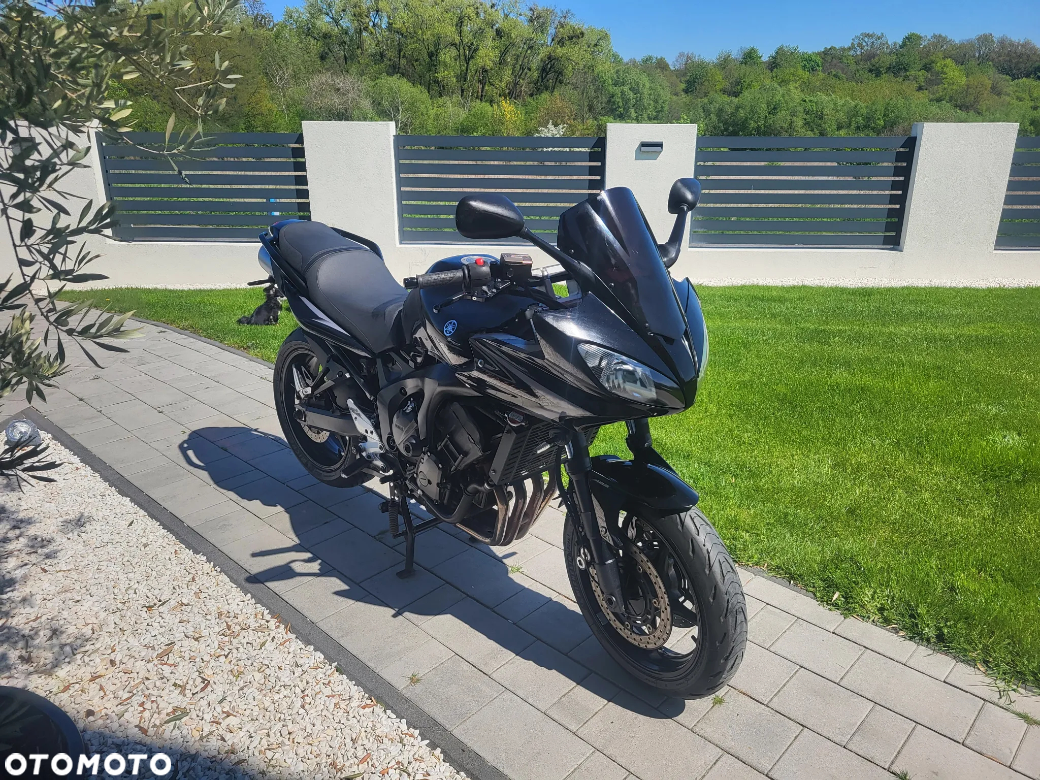 Yamaha FZ6 - 10