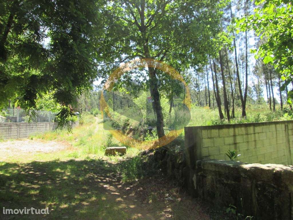 Terreno Santa Maria da Feira - Grande imagem: 2/6