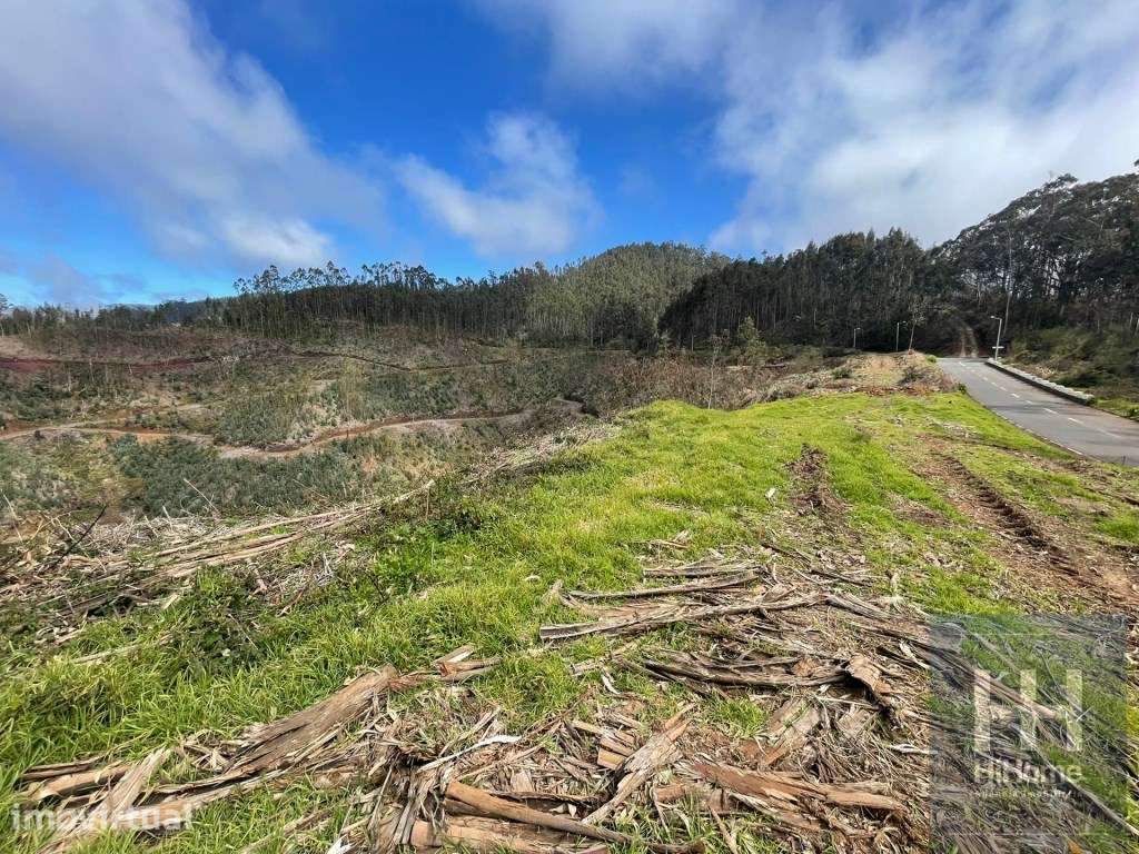 Terreno Rústico com 36.312 m2 no Campanário, Ribeira Brava - Grande imagem: 4/12