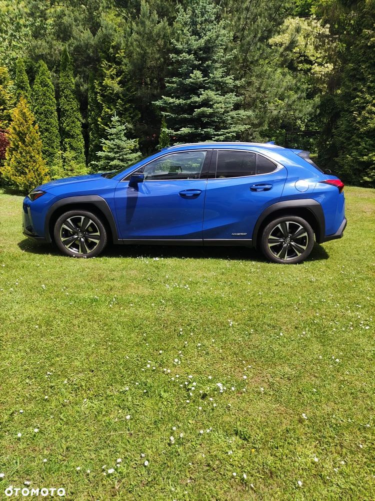 Lexus UX 250h GPF Omotenashi AWD - 5