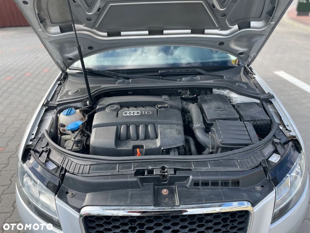 Audi A3 3-drzwiowe 1.6 Ambition - 16