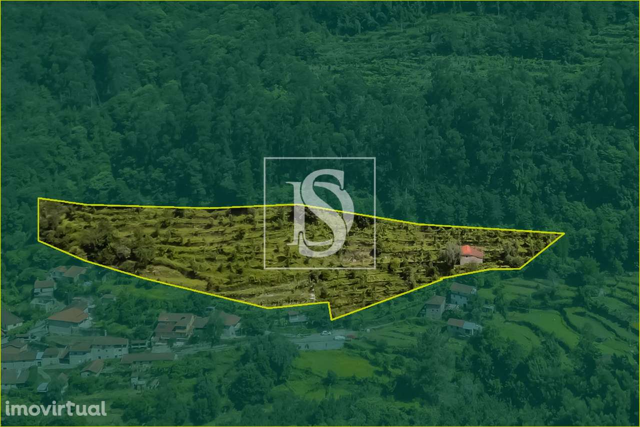 Moradia para Restaurar T2 Venda em Carvalheira,Terras de Bouro - Grande imagem: 2/26