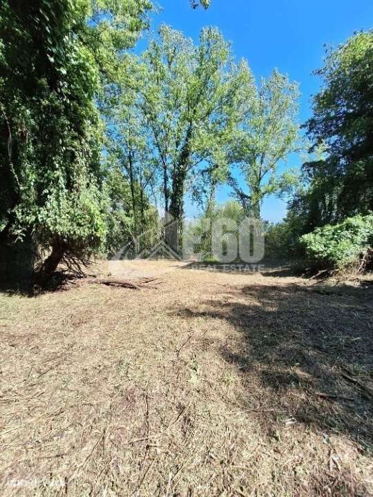 QUINTA COM RUINA OLIVEIRA DO DOURO - Grande imagem: 4/8