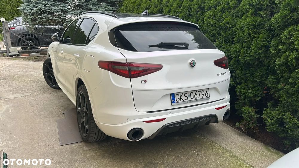 Alfa Romeo Stelvio 2.0 Turbo Veloce Q4 - 6