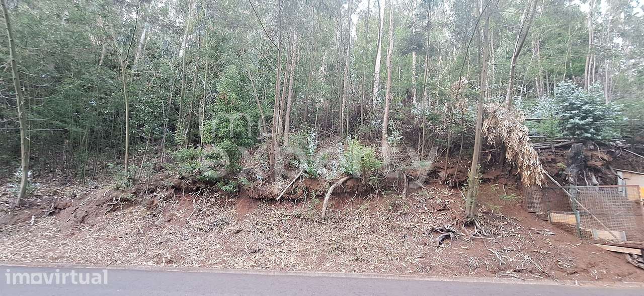Terreno com 4940 m2 no sítio da Achada Rocha, Gaula, Madeira - Grande imagem: 5/7