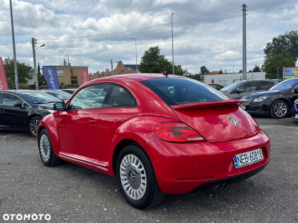 Volkswagen Beetle - 18