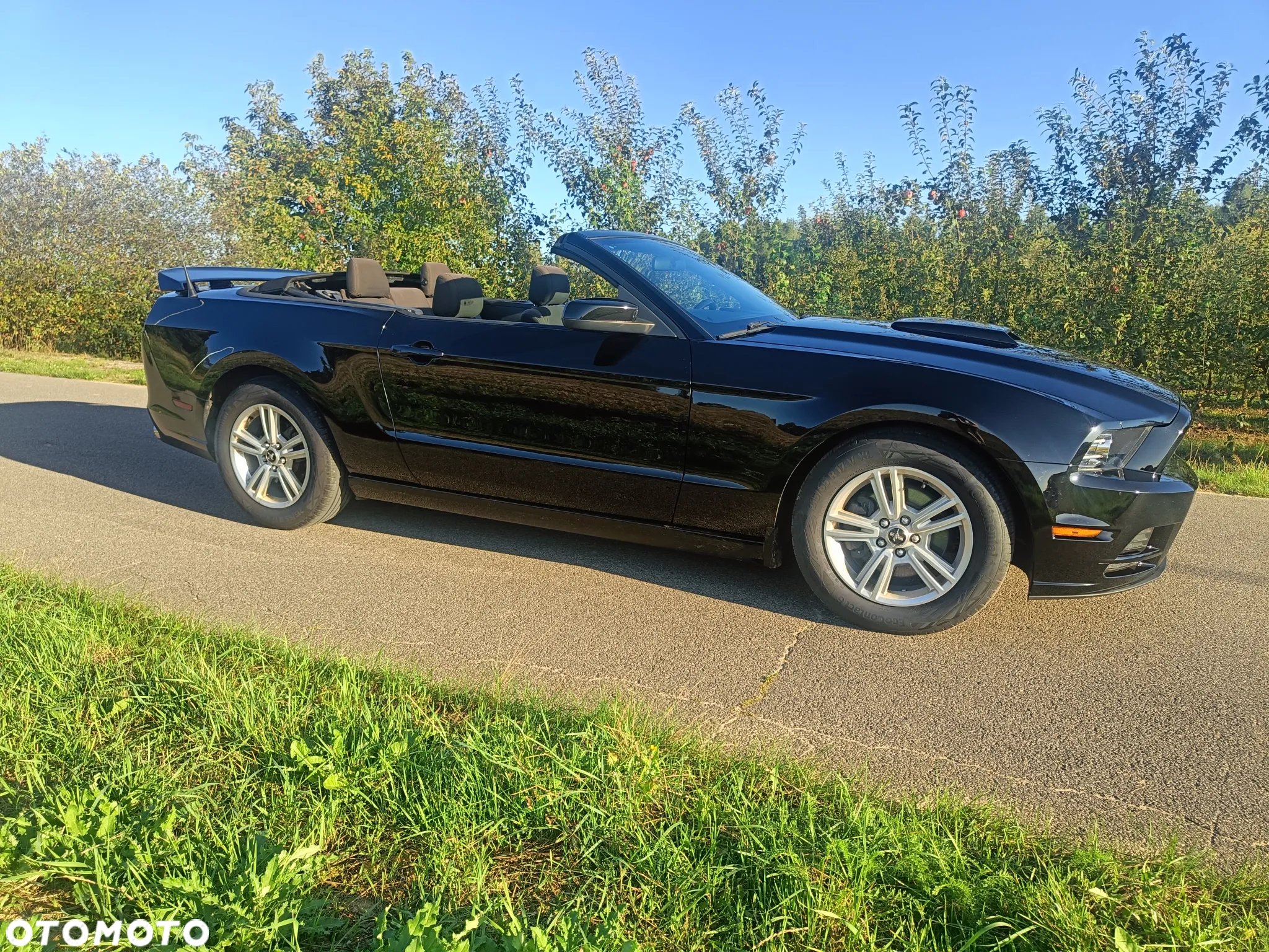 Ford Mustang 3.7 V6 - 16