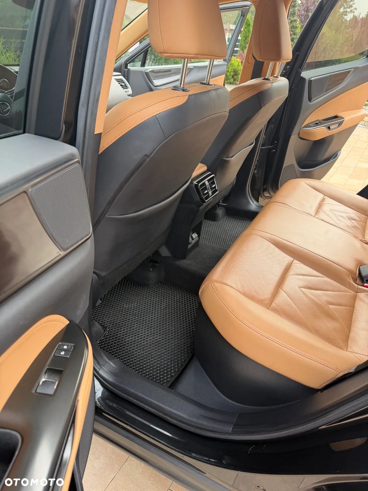 Lexus NX - 10