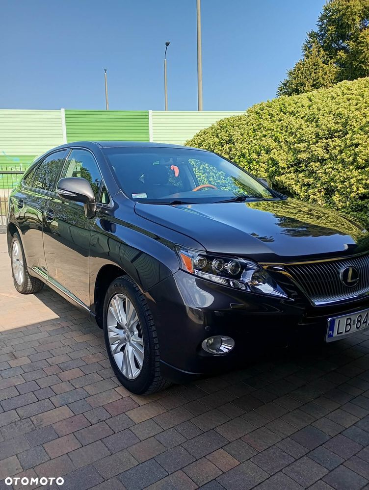 Lexus RX Standard - 3