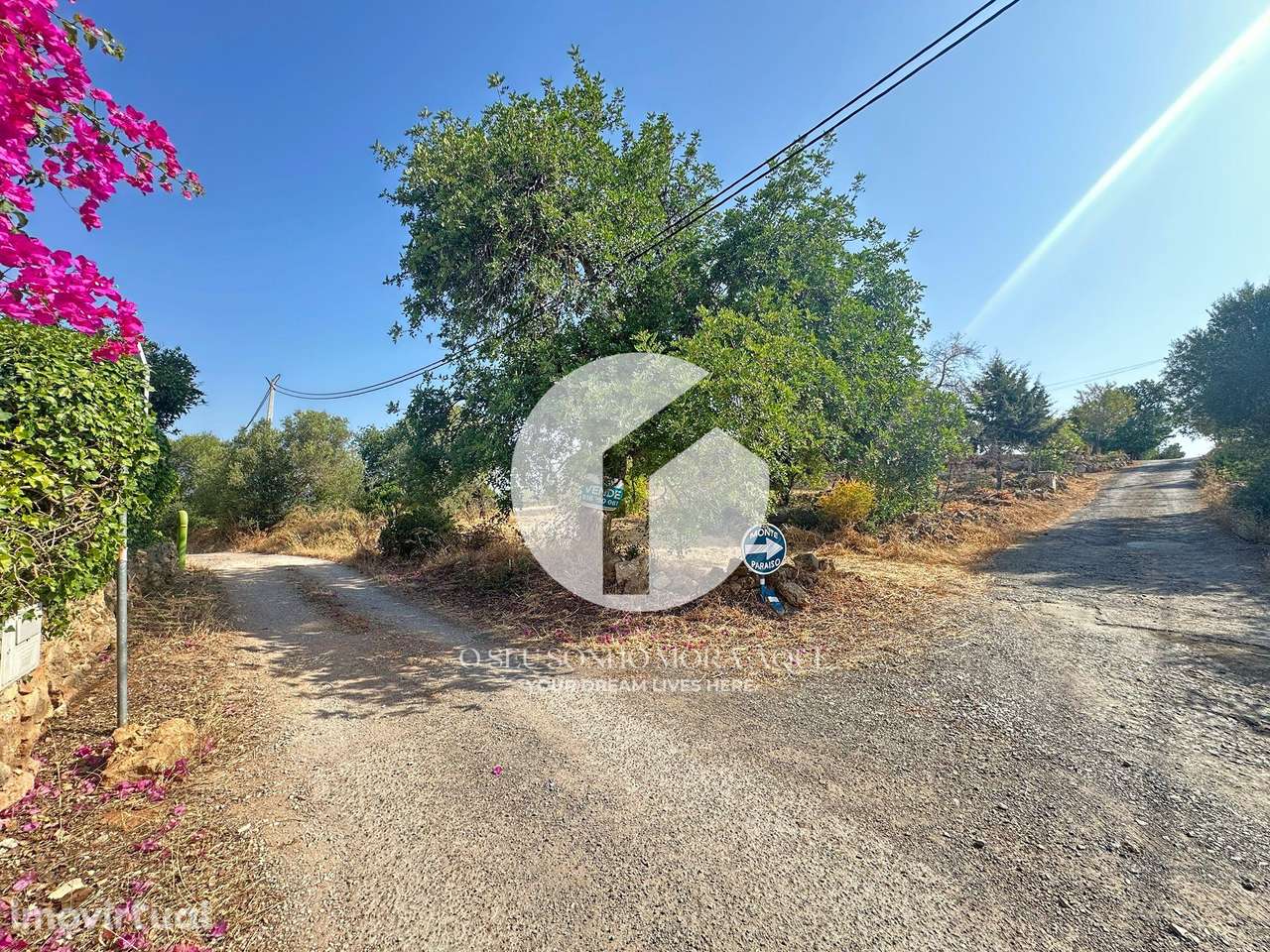 Terreno Rústico - Pechão - Grande imagem: 5/11