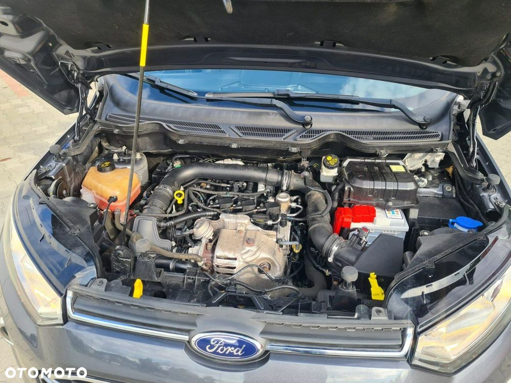 Ford EcoSport - 32
