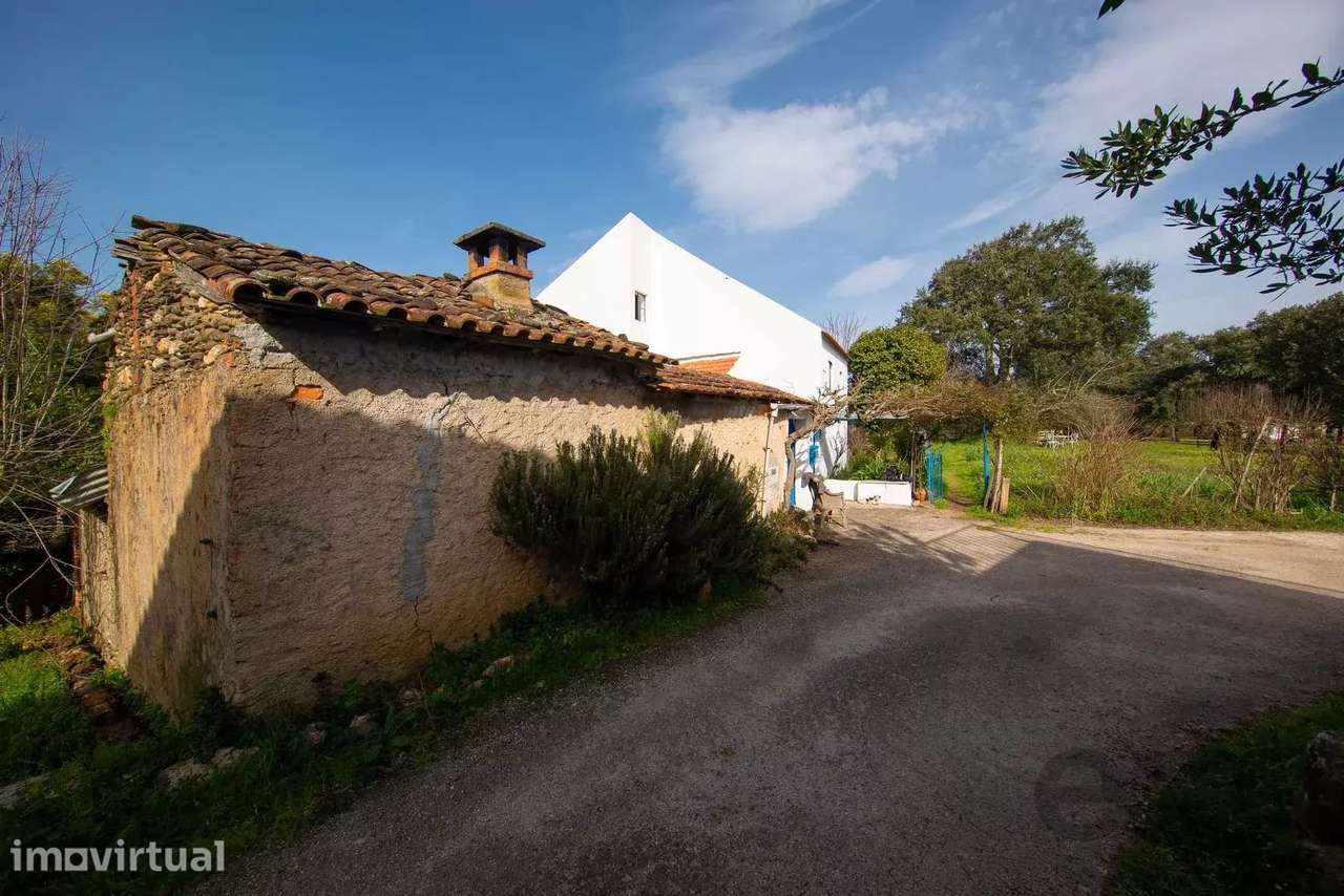 Quinta da Meda — Refúgio exclusivo com terreno à beira-rio a 2 minutos - Grande imagem: 5/47