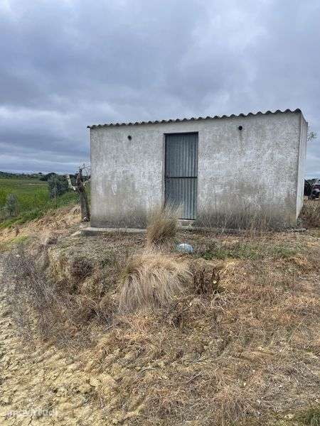 Terreno agricola 2,4ha - Grande imagem: 5/9