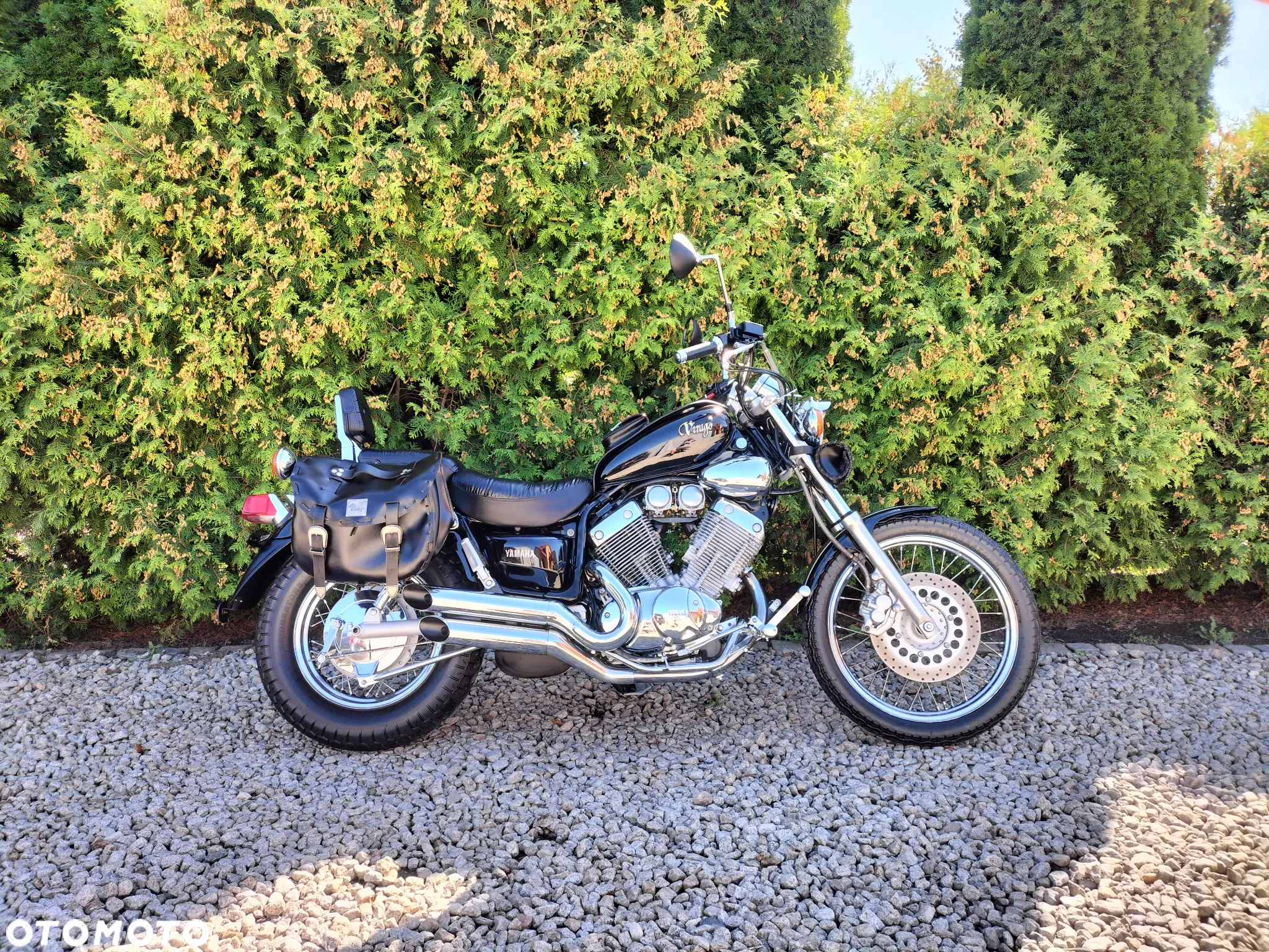 Yamaha Virago - 3