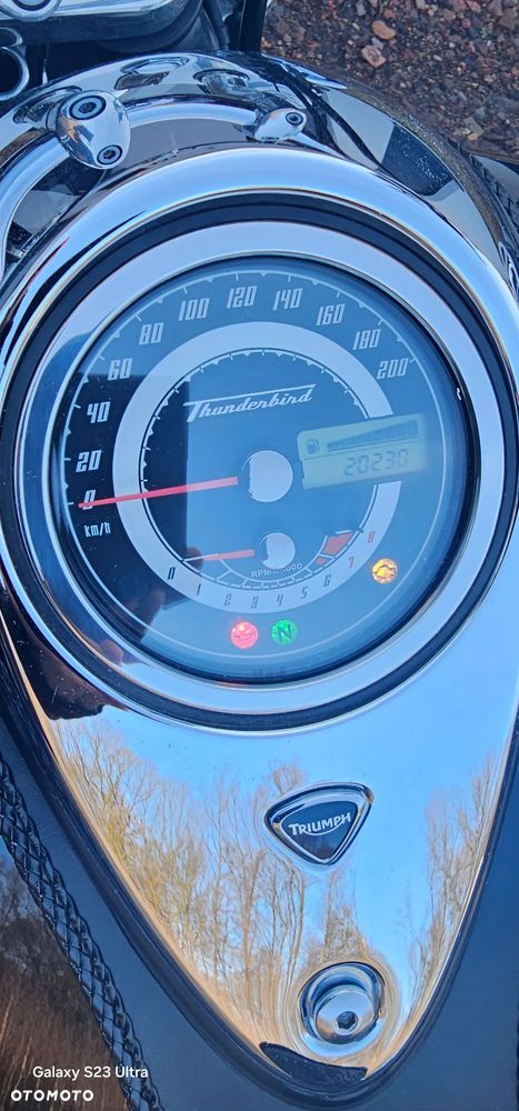 Triumph Thunderbird - 5