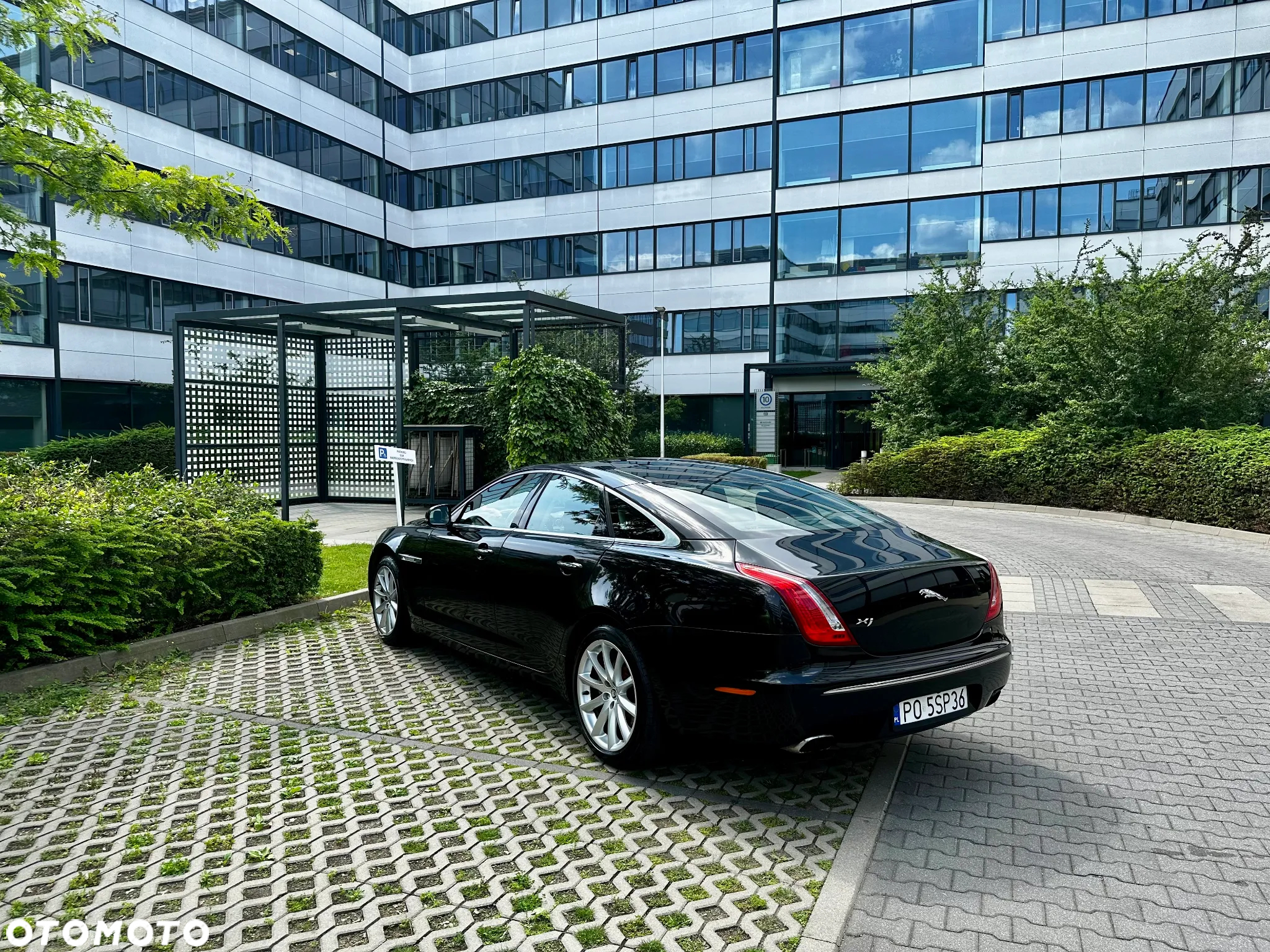 Jaguar XJ - 8