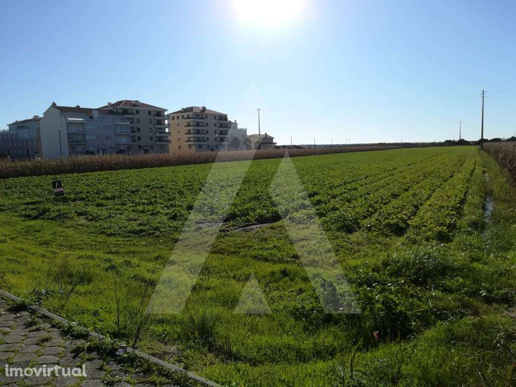 Terreno para construção na Praia da Vagueira - Grande imagem: 2/10