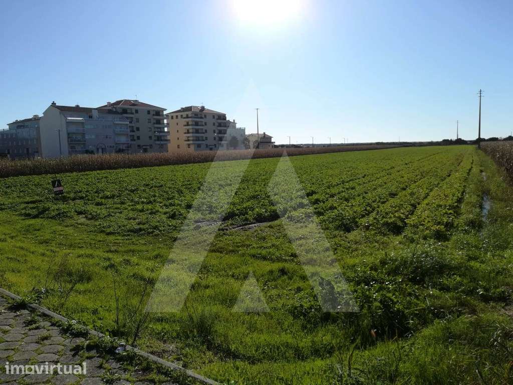 Terreno para construção na Praia da Vagueira - Grande imagem: 2/10