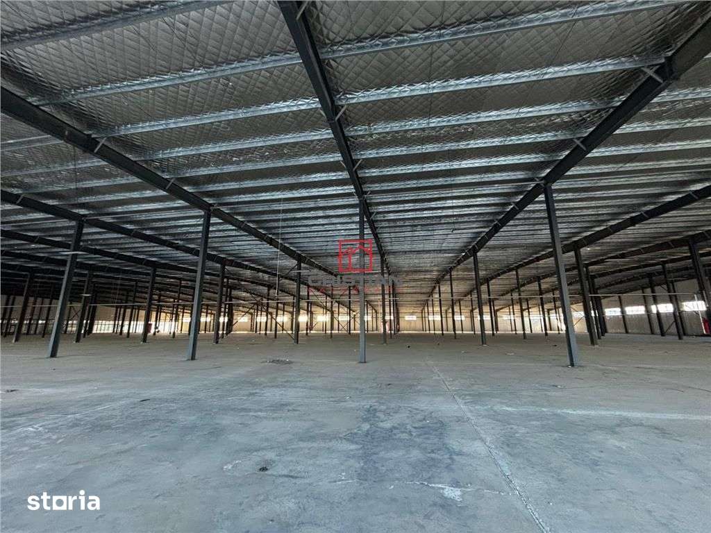 Inchiriere depozithalaspatiu industrialshowroom Afumati - DN2 - Dorall - Imagine principală: 5/20