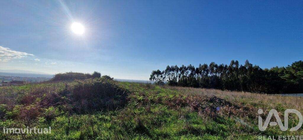 Terreno em Igreja Nova e Cheleiros de 10000,00 m2 - Grande imagem: 4/18