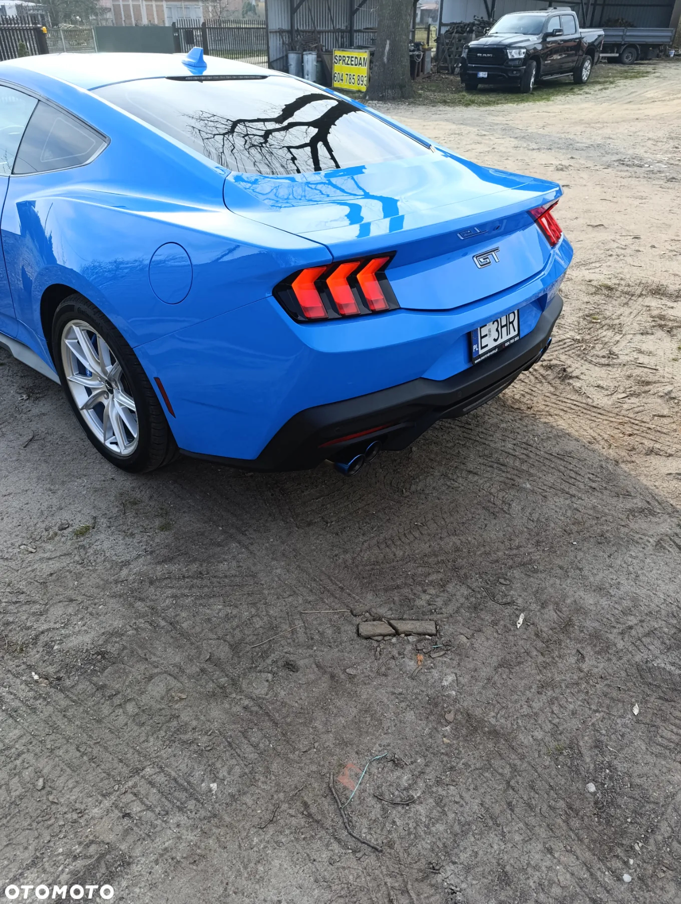 Ford Mustang Fastback 5.0 Ti-VCT V8 Dark Horse - 5