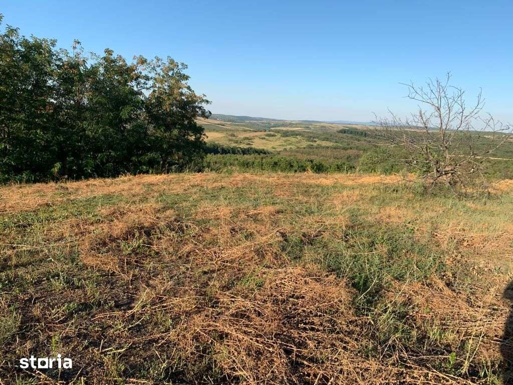 Teren intravilan 700mp str.Piersicilor gaz pe strada - 29.500Eur - Imagine principală: 2/5