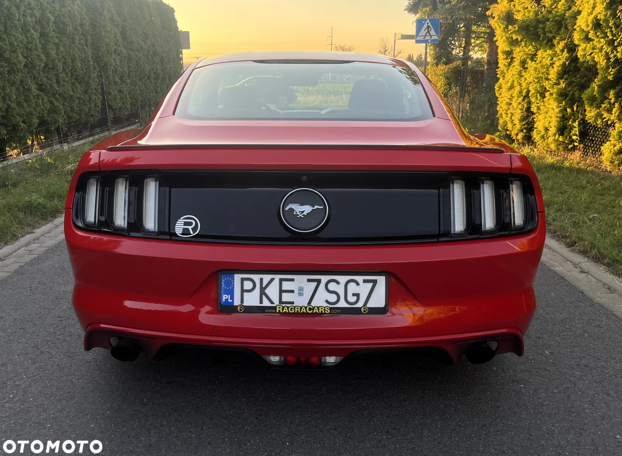 Ford Mustang 2.3 EcoBoost - 6
