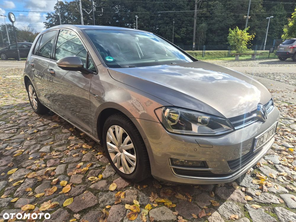 Volkswagen Golf 1.6 TDI BlueMotion Technology DSG Lounge - 30