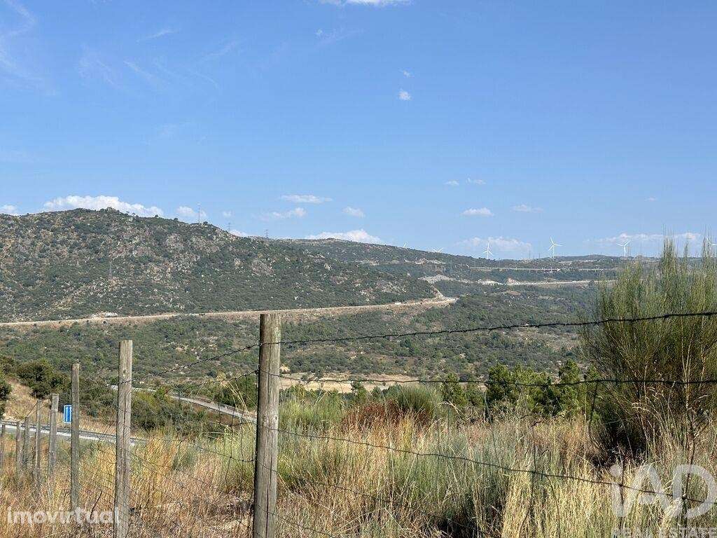 Terreno em Açores e Velosa de 49492,00 m2 - Grande imagem: 3/10