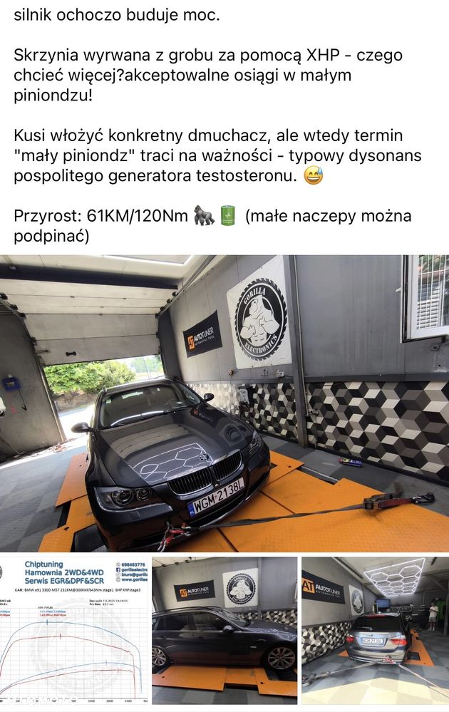 BMW Seria 3 330d DPF - 21