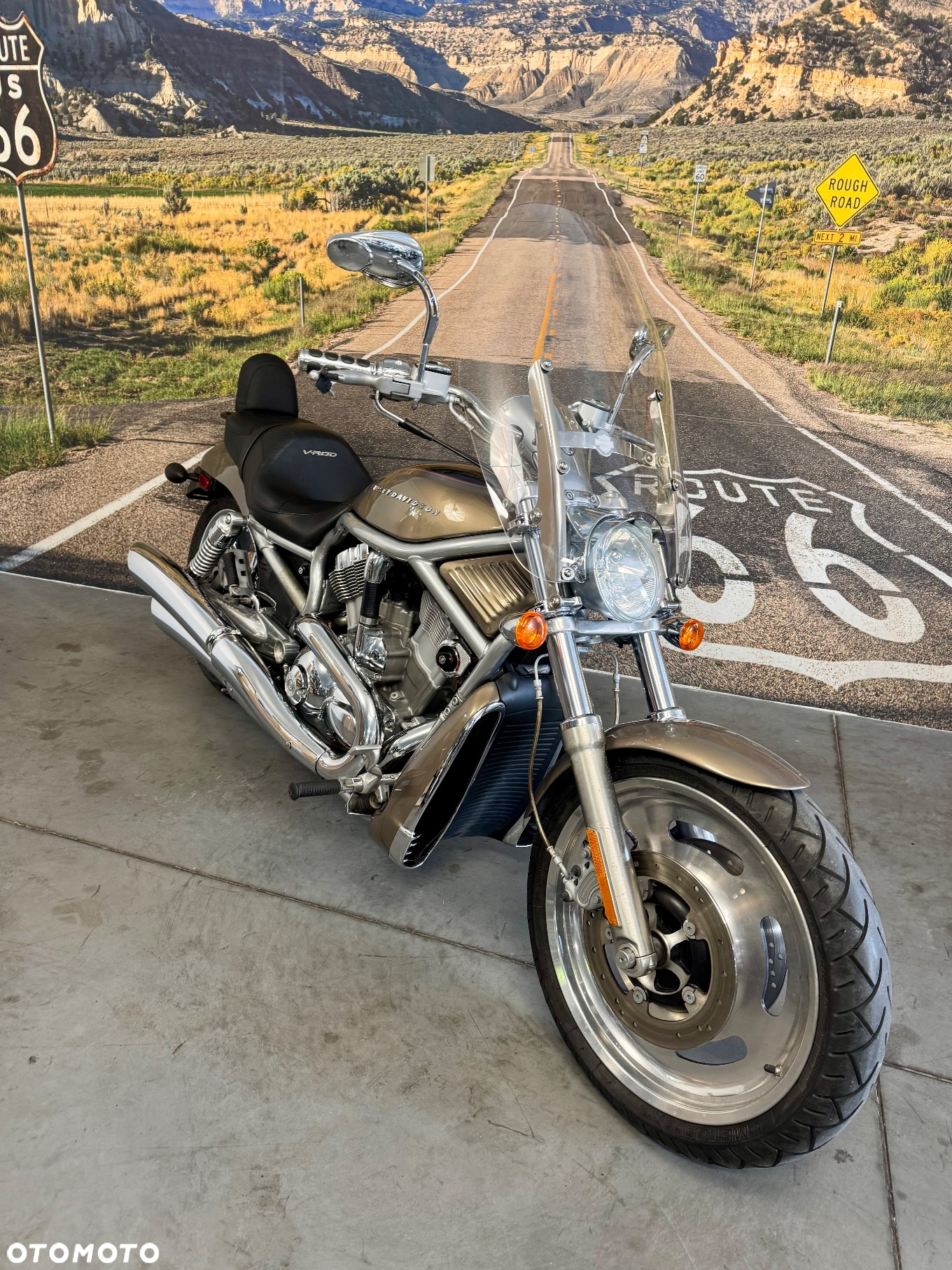 Harley-Davidson V-Rod Street Rod - 3