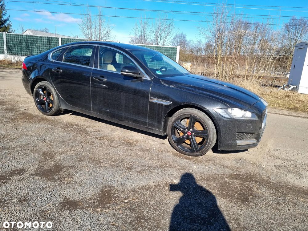 Jaguar XF 3.0 TDV6 Prestige - 15