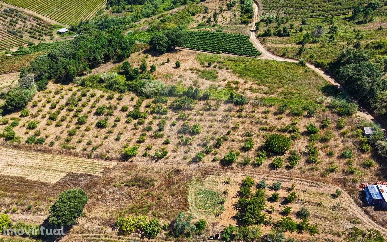 Terreno  para venda - Grande imagem: 3/40