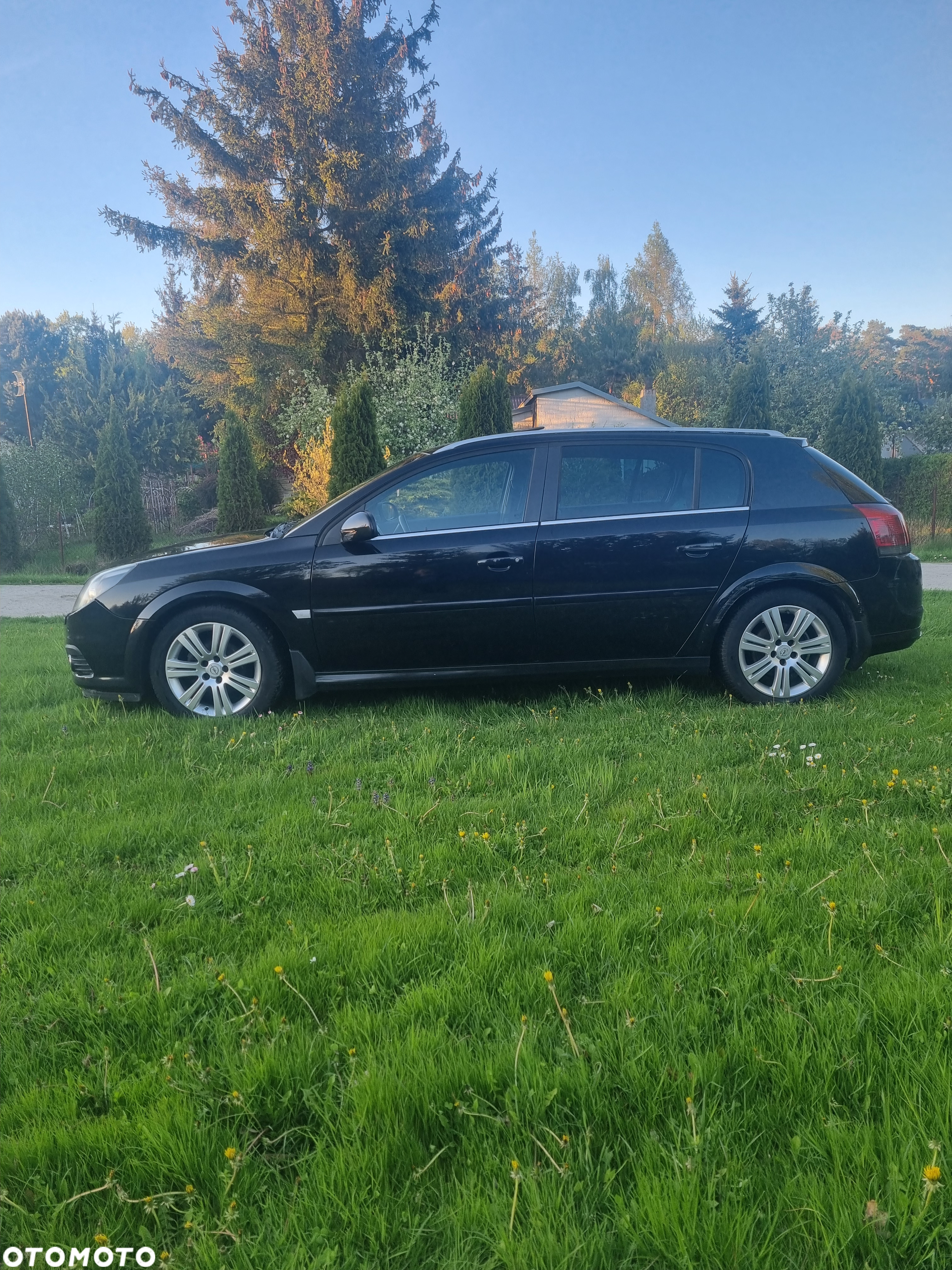 Opel Signum - 4