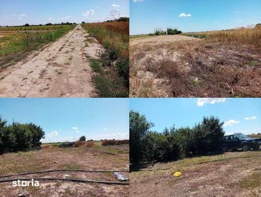 Teren extravilan Adunatii Copaceni, ID: R3345028 - Imagine principală: 5/10