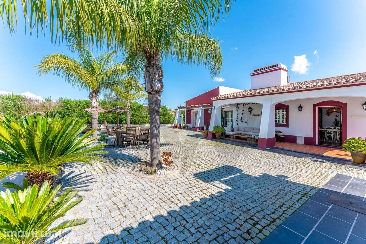 Quinta privada com 1,36 ha, piscina, olival e nascente junto a Monsara - Grande imagem: 5/47