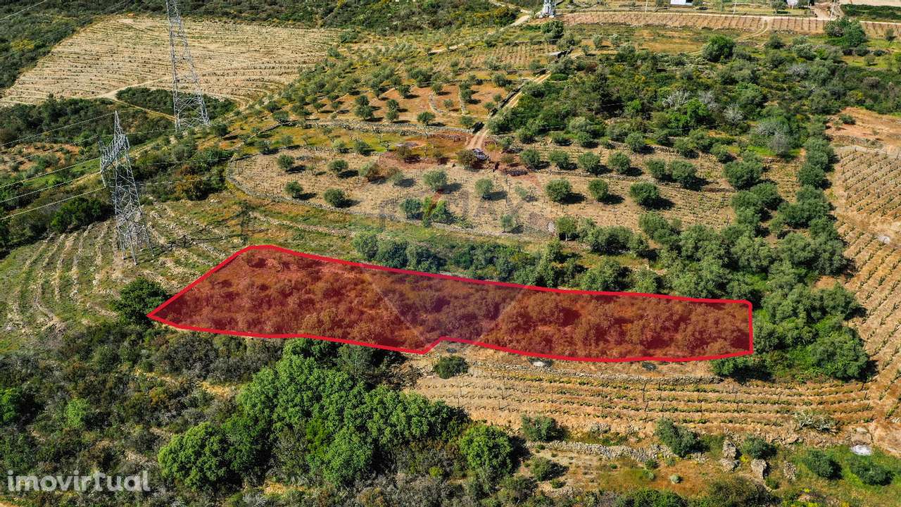 Terreno  para venda - Grande imagem: 3/25