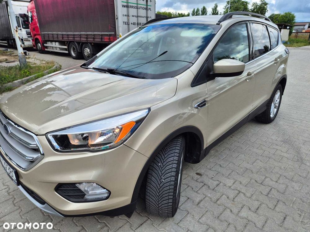 Ford Escape - 1