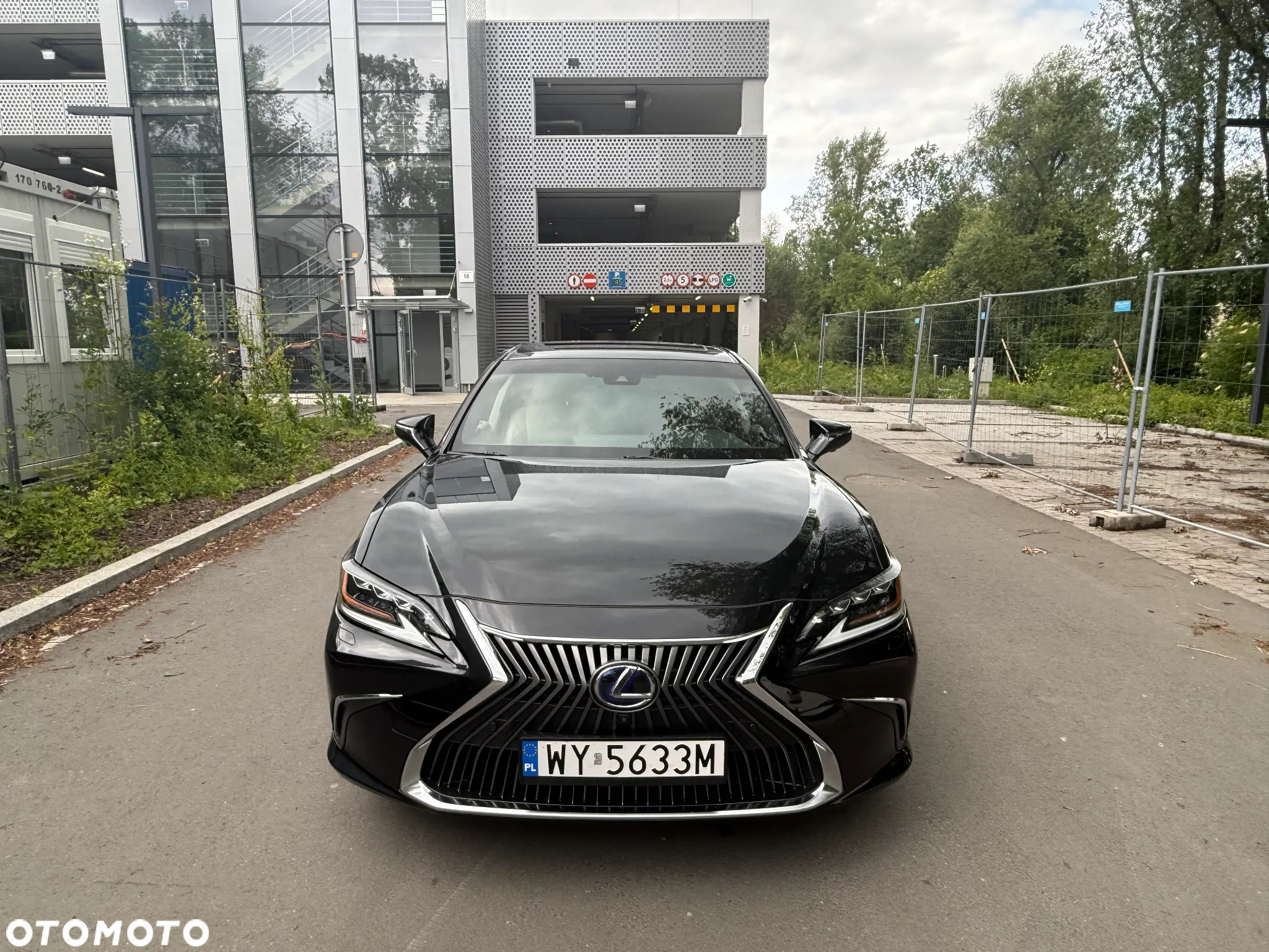 Lexus ES 300h Omotenashi - 12