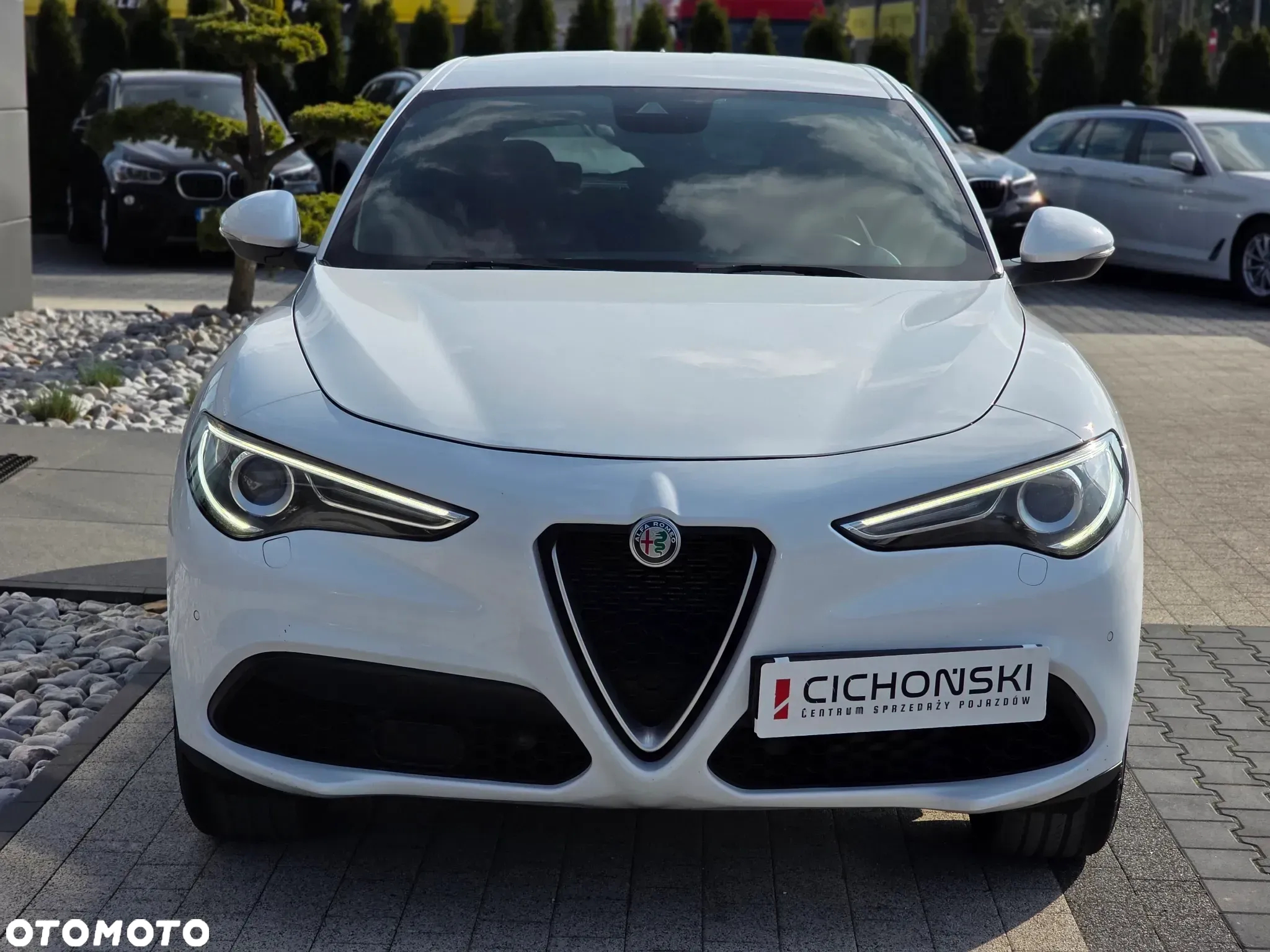Alfa Romeo Stelvio 2.0 Turbo Executive Q4 - 3