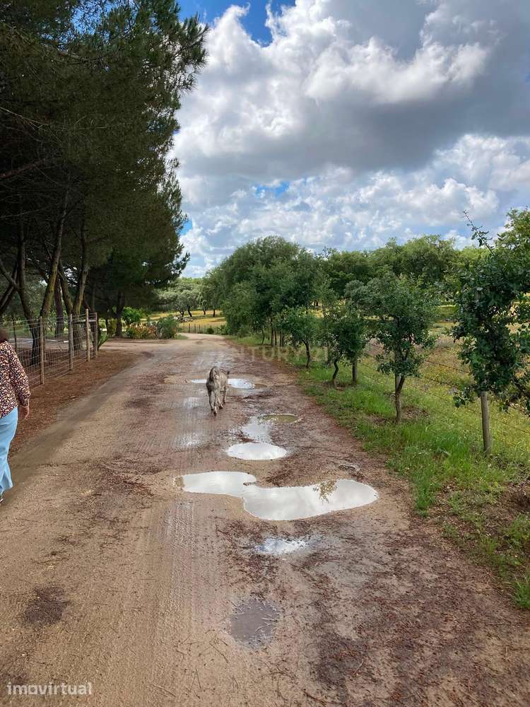 Herdade da Pedra Longa — Um Património Único no Coração do Alentejo - Grande imagem: 5/56
