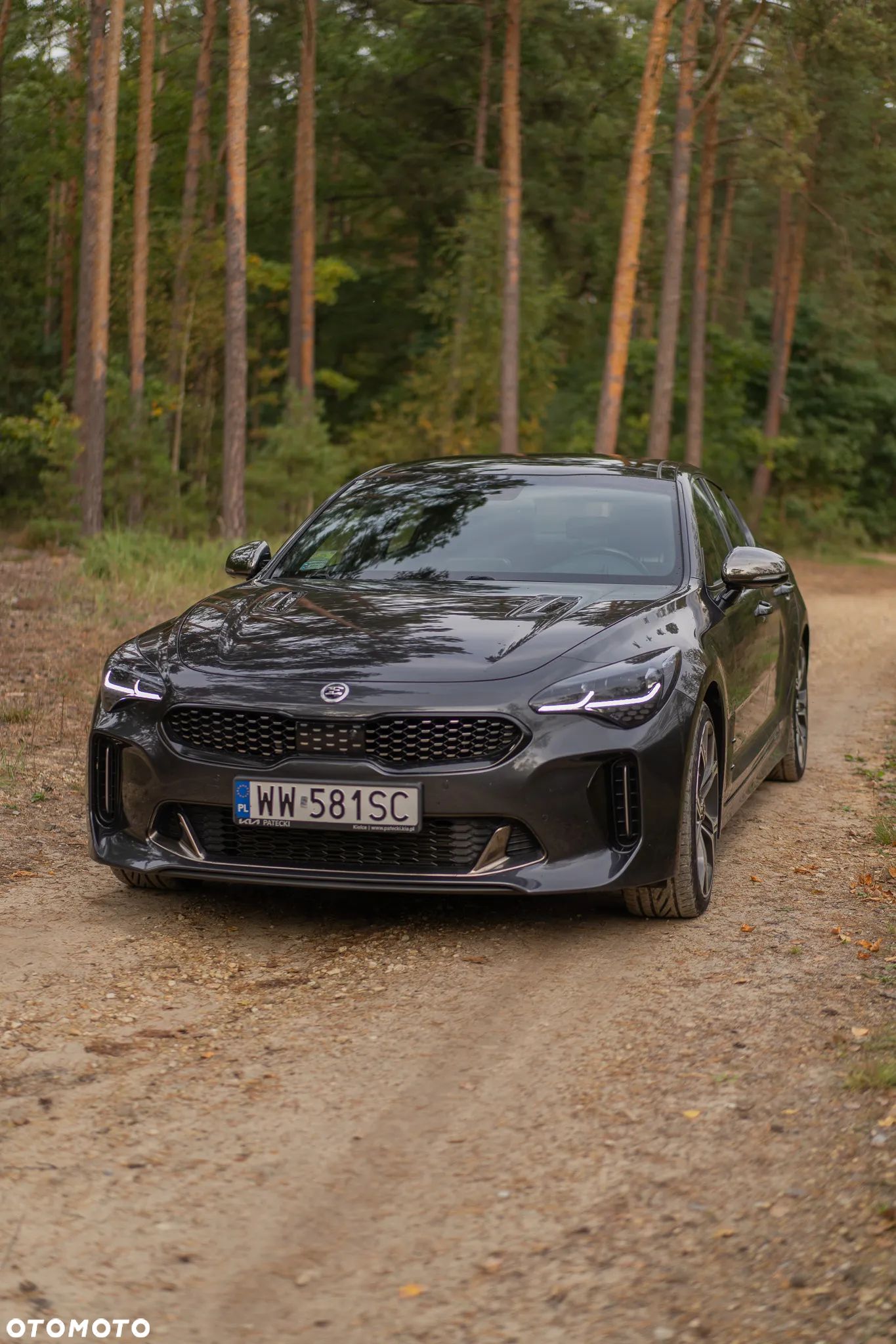 Kia Stinger 3.3 T-GDI V6 GT AWD - 1