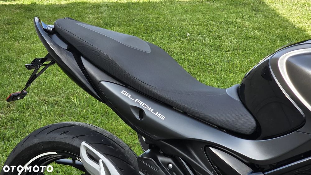 Suzuki Gladius - 18