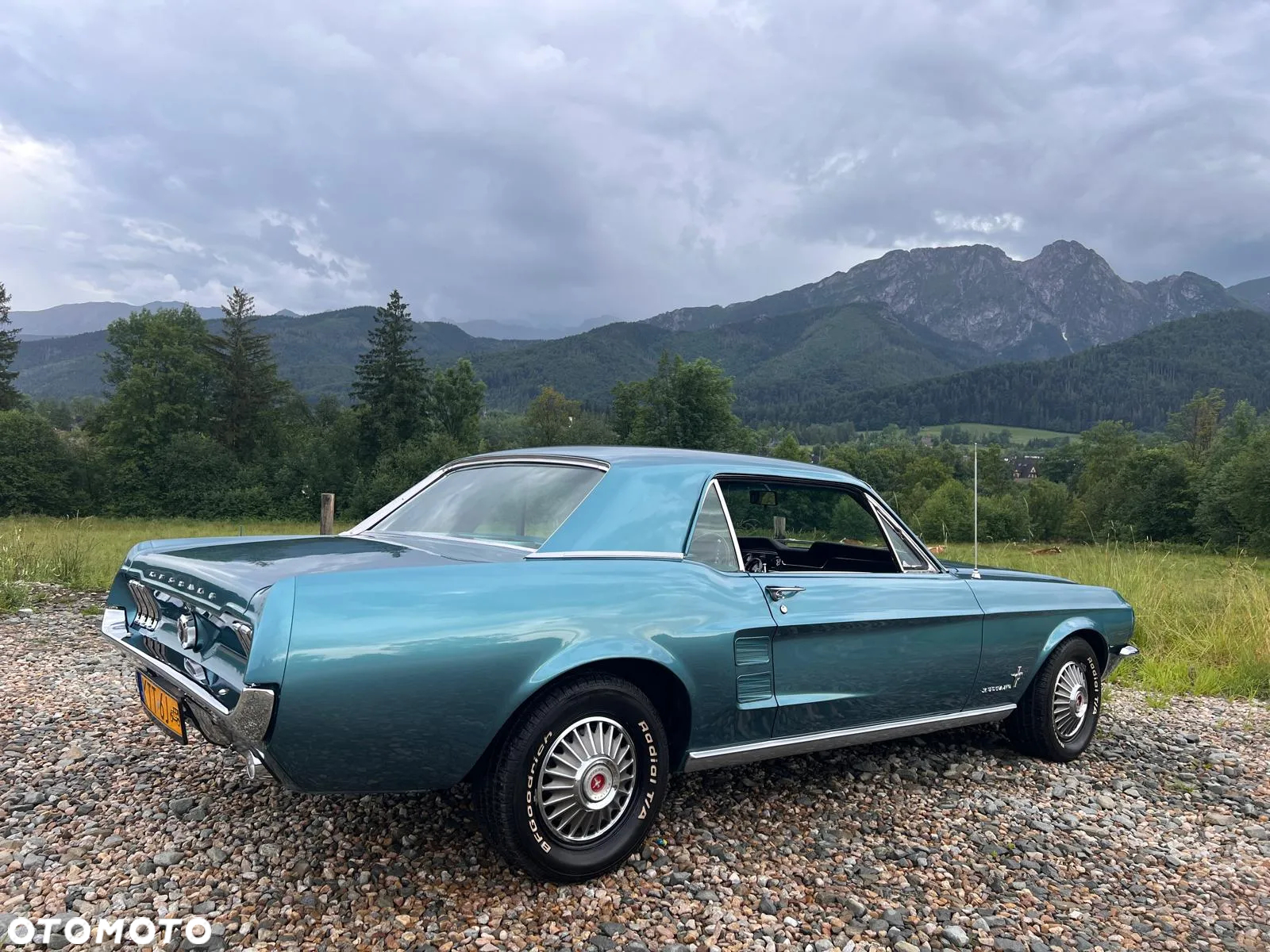 Ford Mustang - 5