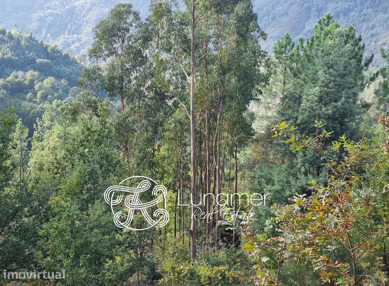 Conjunto de Terrenos em Louredo, Vieira do Minho - Grande imagem: 2/6