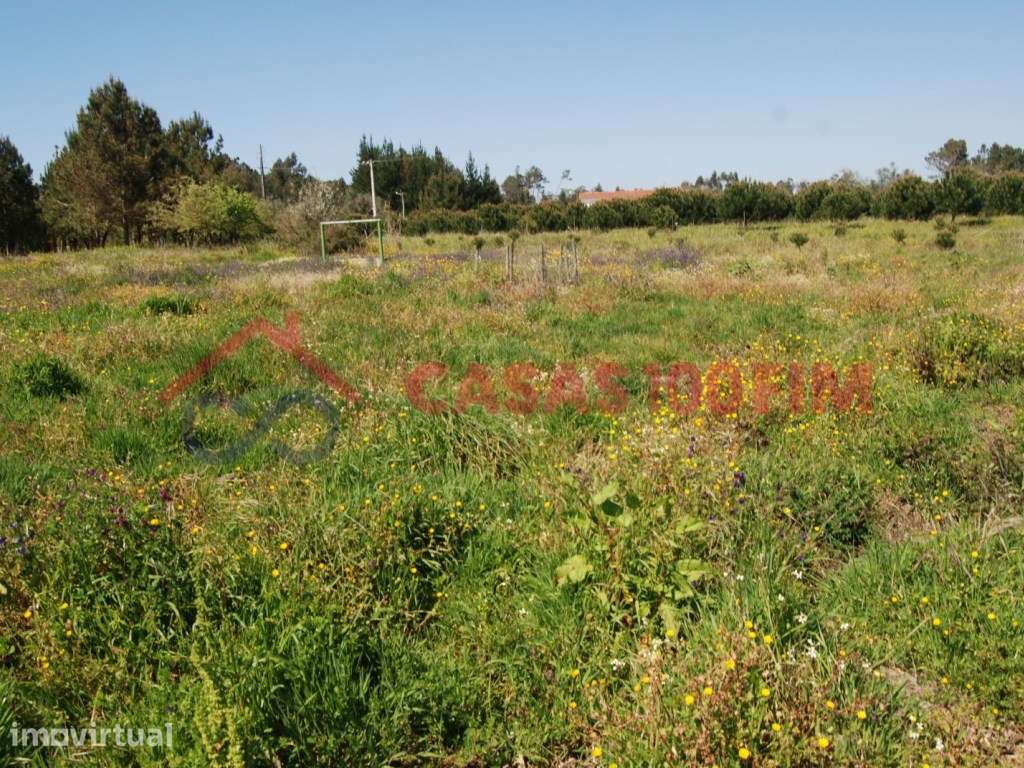 Terreno agrícola com 720m2, com poço, em Calvaria de Baixo, Batalha - Grande imagem: 3/5