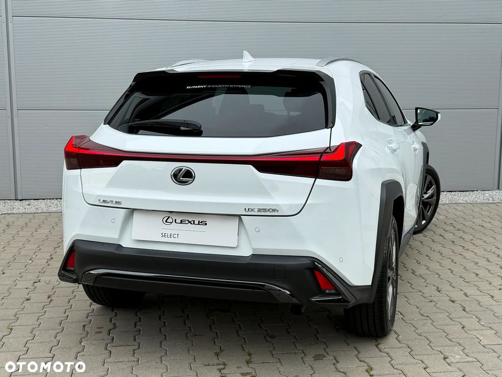Lexus UX 250h GPF F Sport Design+ 2WD - 6